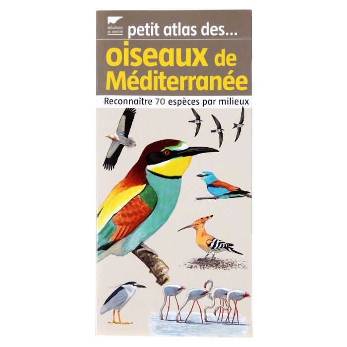 OISEAUX MEDITERRANEE PETIT ATLAS