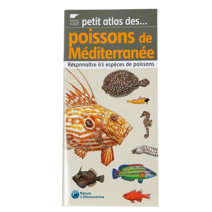 POISSONS MEDITERRANEE PETIT ATLAS