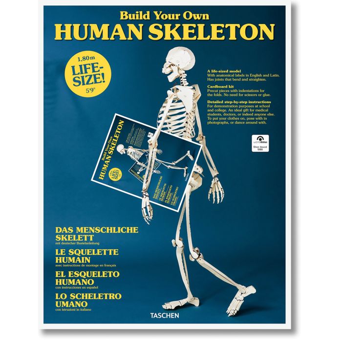 HUMAN SKELETON NE 082018