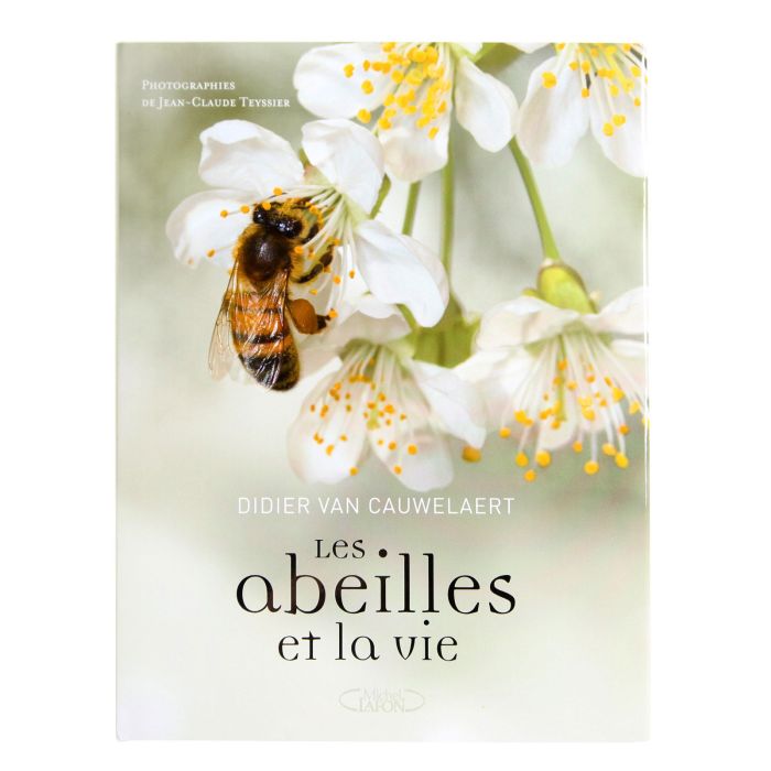 AU PAYS DES ABEILLES