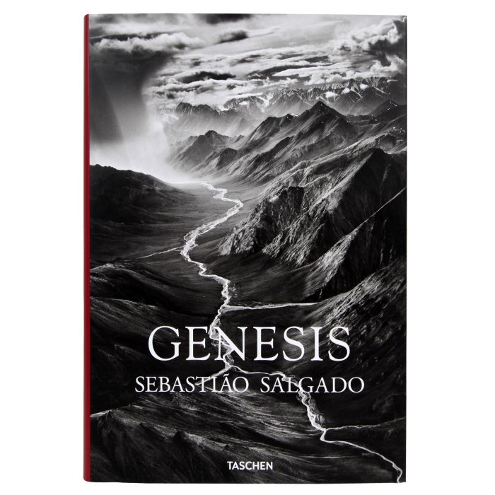 GENESIS SALGADO