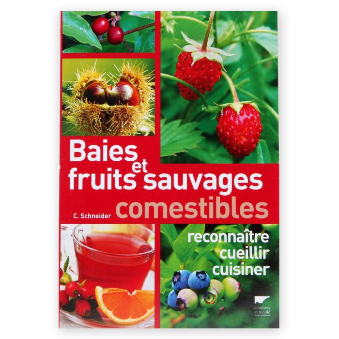 BAIES ET FRUITS SAUVAGES COMESTIBLE