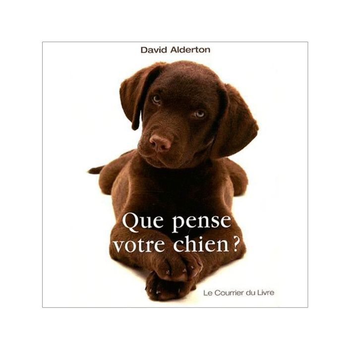 QUE PENSE VOTRE CHIEN? < 10193590