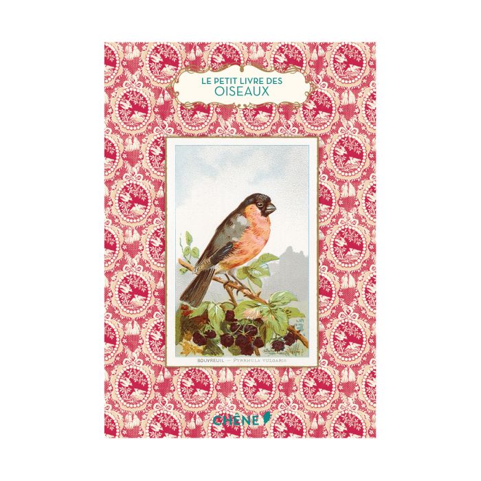OISEAUX PETIT LIVRE