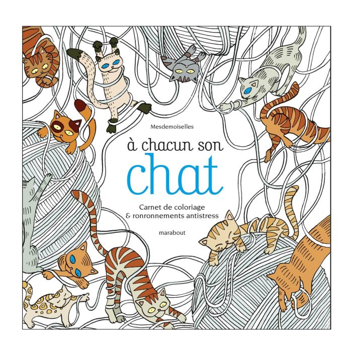 A CHACUN SON CHAT