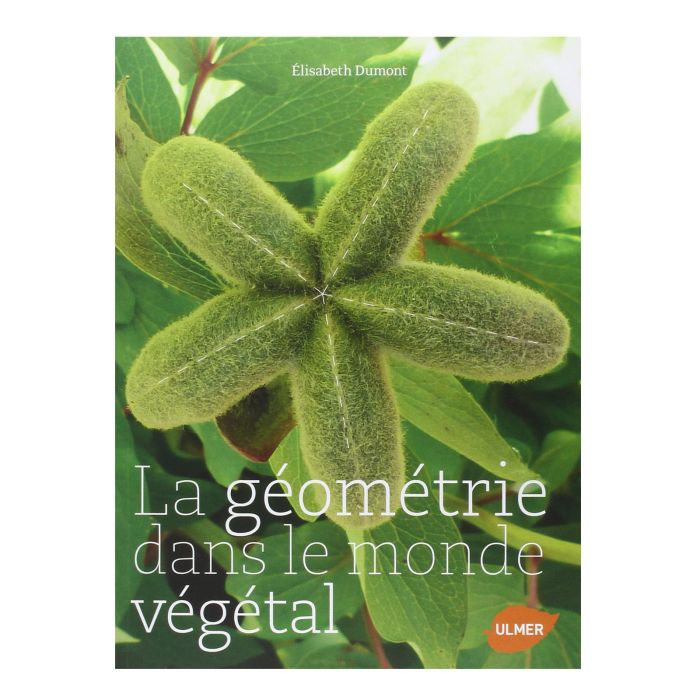 GEOMETRIE VEGETALE