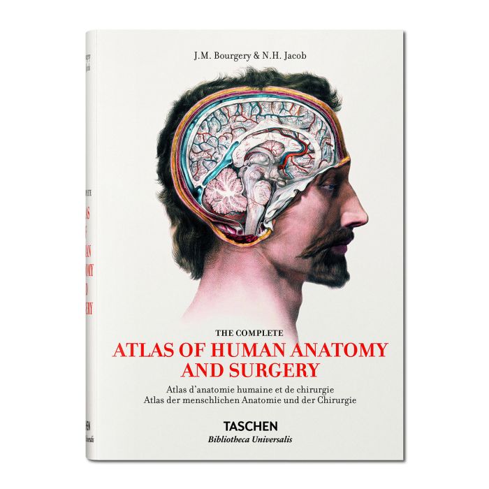192 Atlas of human anatomy and Surg
