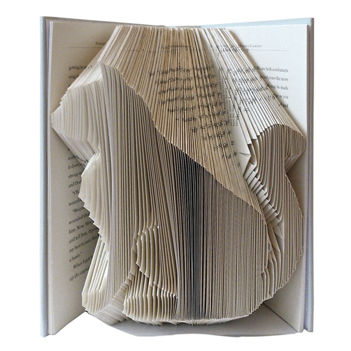 CE CHAT QUI A CHANGE MA VIE