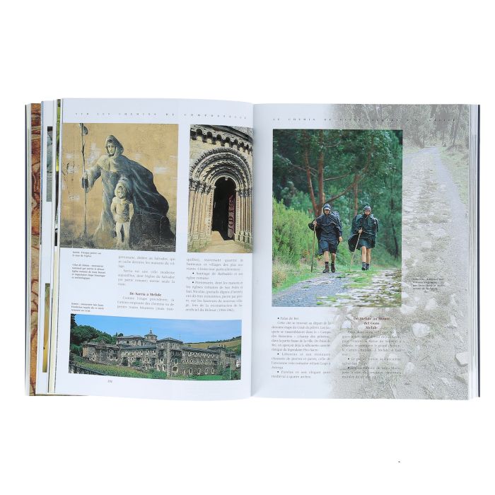 TOUS LES CHEMINS DE COMPOSTELLE NO RETUR