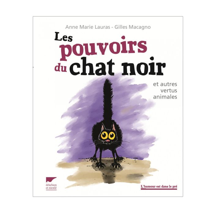 CHAT NOIR EN VUE