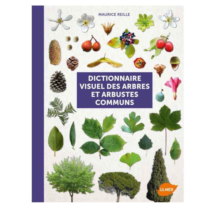 DICTIONNAIRE VISUEL DES ARBRES
