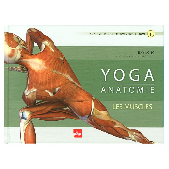 LES MUSCLES YOGA ANATOMIE