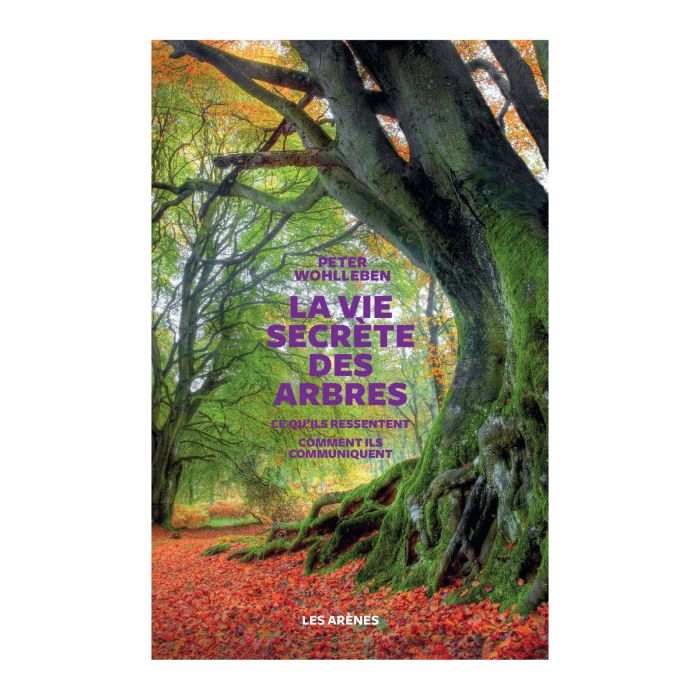 VIE SECRETE ARBRES WOHLLEBEN >10256630