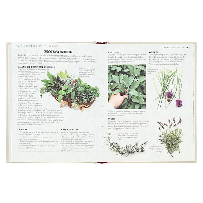 GUIDE DES HERBES AROMATIQUES