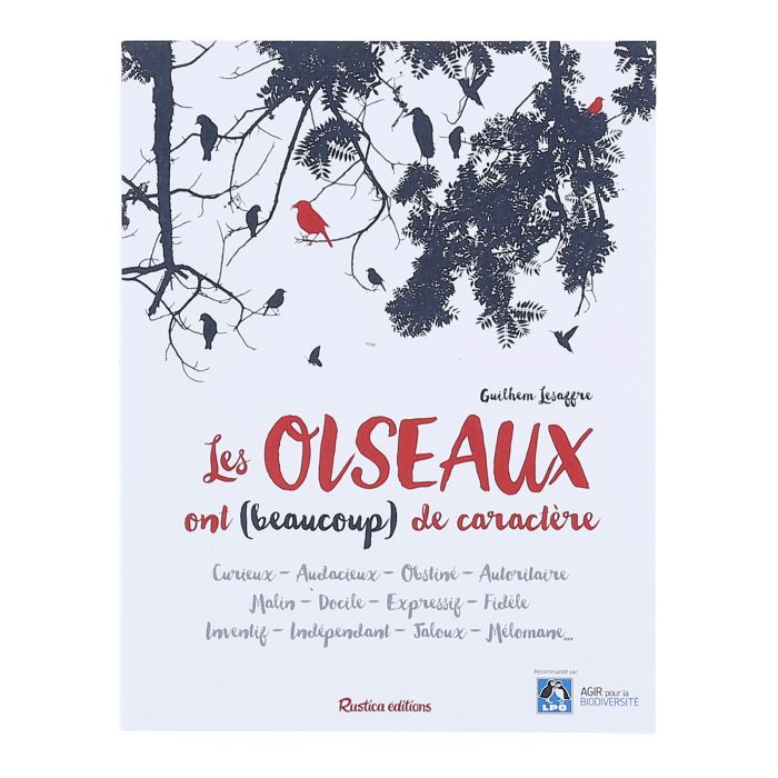 OISEAUX ONT BEAUCOUP CARACTERE NO RETURN