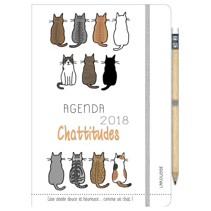 AGENDA CHATTITUDES 2018