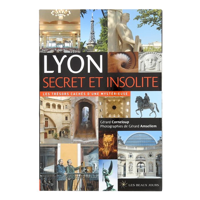 105 198 232 LYON SECRET INS >10267040