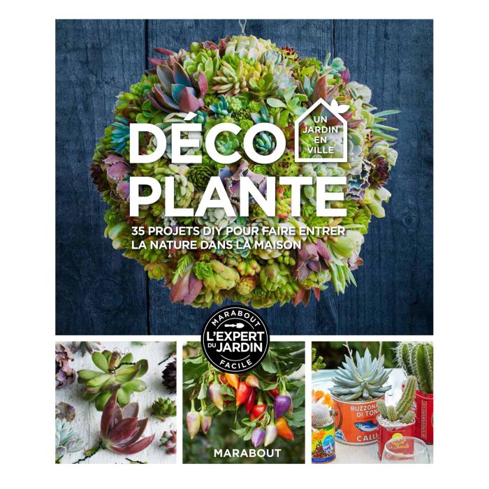 DÉCO PLANTE