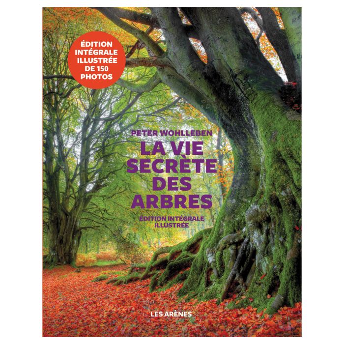 VIE SECRETE ARBRES ILLUSTREE WOHLLENBEN