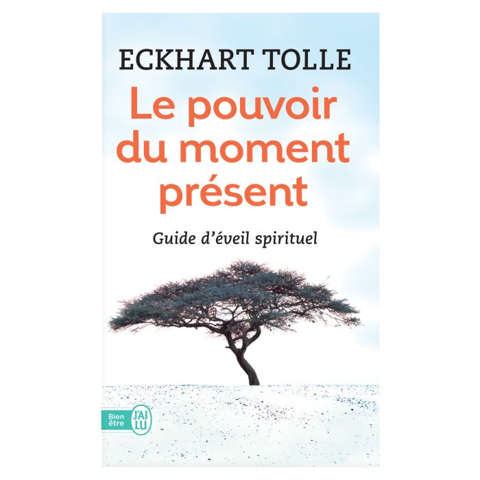 LE POUVOIR DU MOMENT PRESENT >10241060