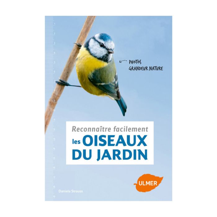 RECONNAITRE OISEAUX JARDIN <10173140