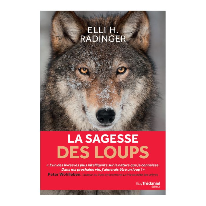 LA SAGESSE DES LOUPS