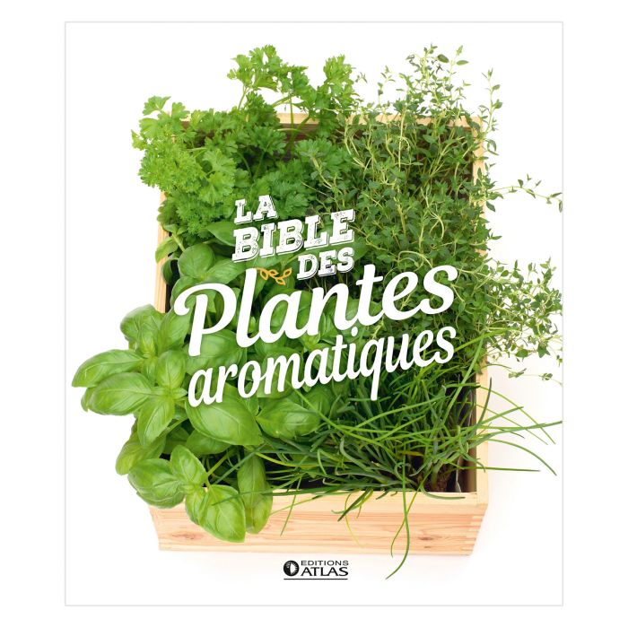 BIBLE DES PLANTES AROMATIQUES >10238910