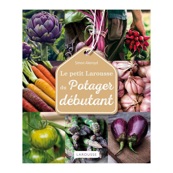 POTAGER DEBUTANT