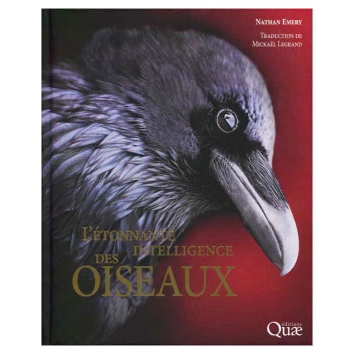 L ETONNANTE INTELLIGENCE DES OISEAUX