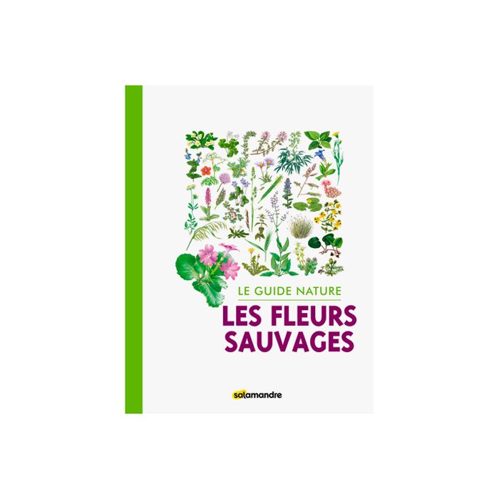 LES FLEURS SAUVAGES LE GUIDE NATURE