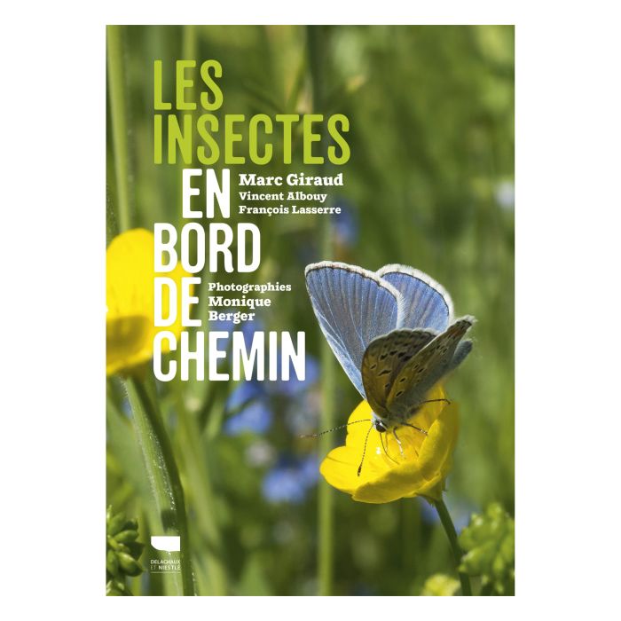 LES INSECTES EN BORD DE CHEMIN
