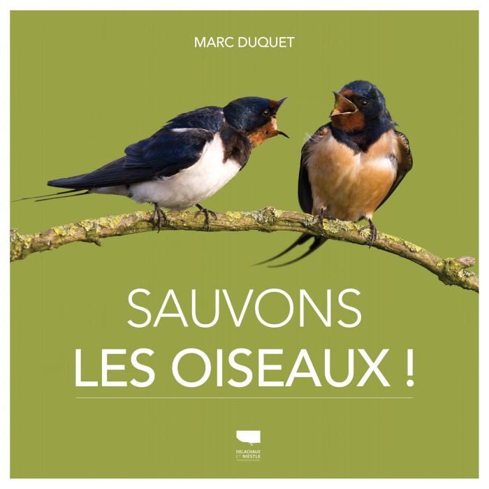 ILS FAUT SAUVER NOS OISEAUX