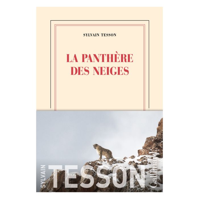 LA PANTHERE DES NEIGES TESSON > 10246440