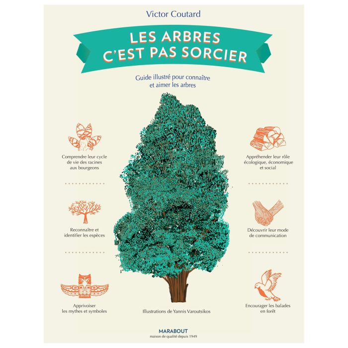 LES ARBRES C EST PAS SORCIERS