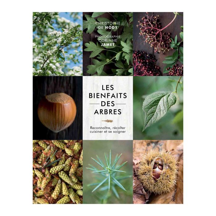 LES BIENFAITS DES ARBRES