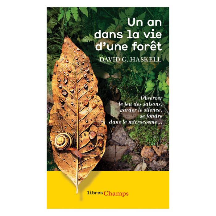 UN AN DANS LA VIE D UNE FORET