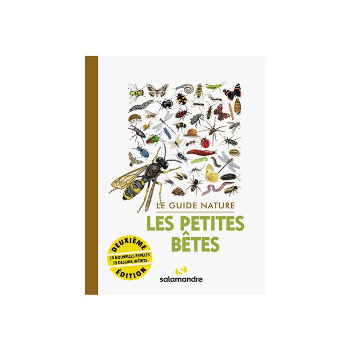 GUIDE NATURE LES PETITES BETES >10254430