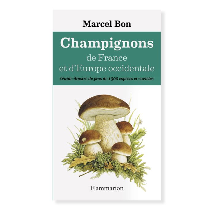 CHAMPIGNONS FRANCE EUROPE OCCIDENTALE
