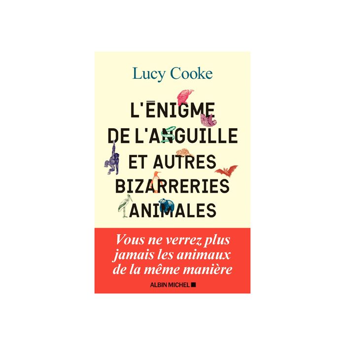 ENIGME DE ANGUILLE BIZARRERIES ANIMALES