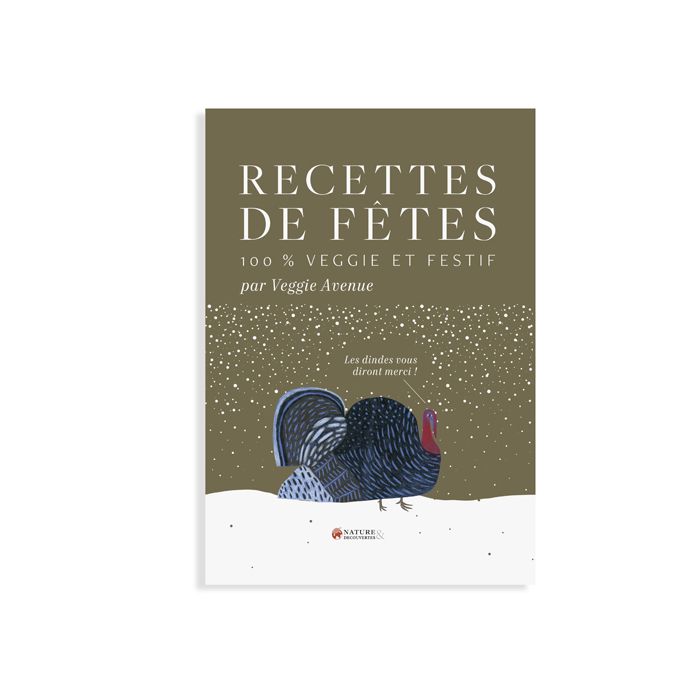 RECETTES DE FETES 100 VEGGIE NO RETURN