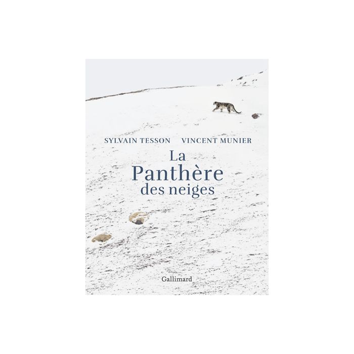 PANTHERE DES NEIGES TESSON ILLU<10236380