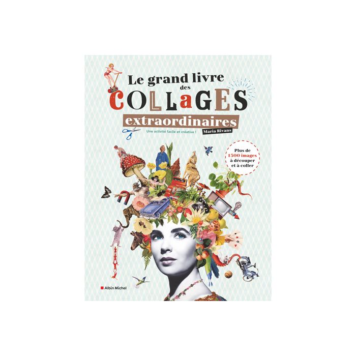 LIVRE COLLAGES EXTRAORDINAIRES