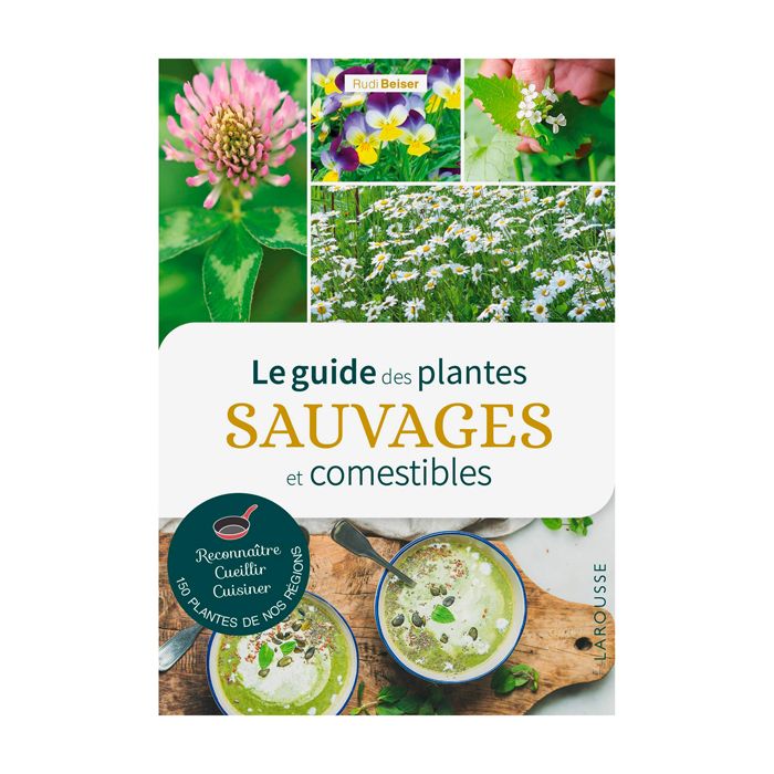 GUIDE DES PLANTES SAUVAGES COMESTIBLES