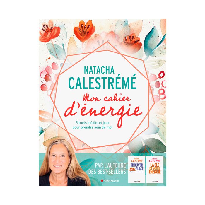 MON CAHIER D ENERGIE CALESTREME