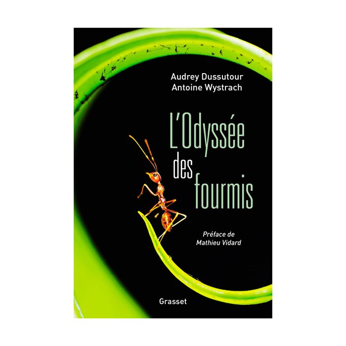 L ODYSSEE DES FOURMIS