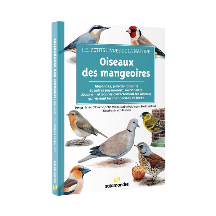 OISEAUX DES MANGEOIRES <10257780