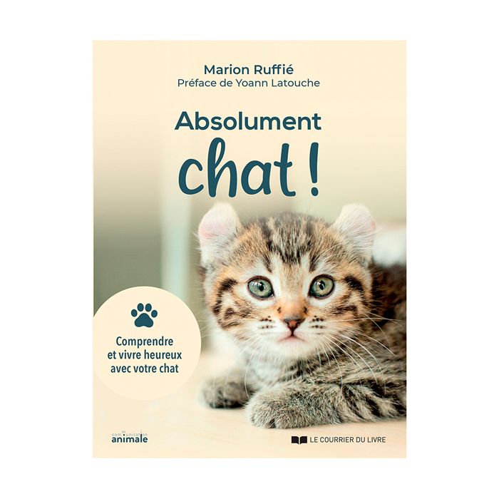 ABSOLUMENT CHAT !