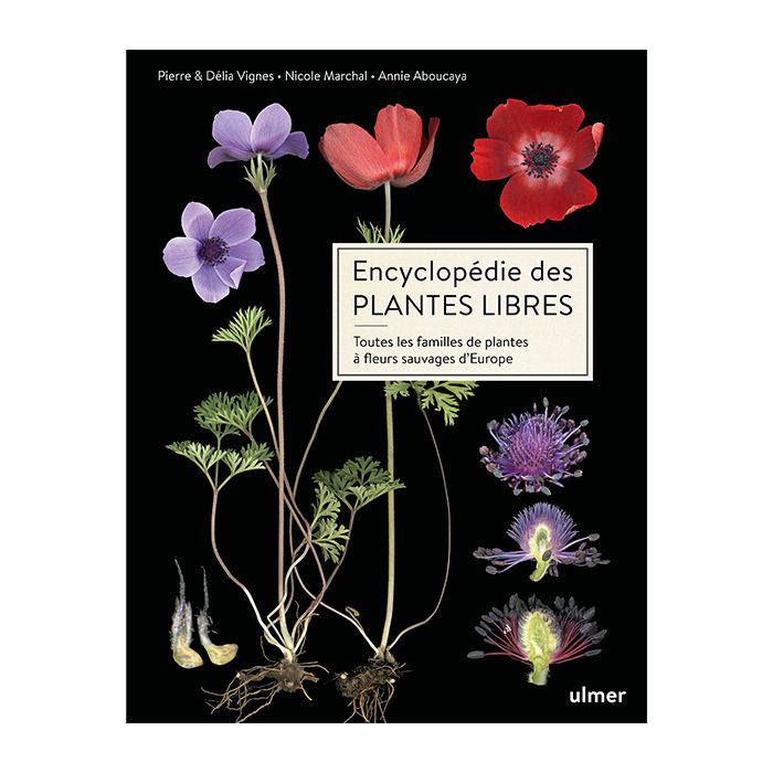 192 ENCYCLOPEDIE DES PLANTES LIBRES
