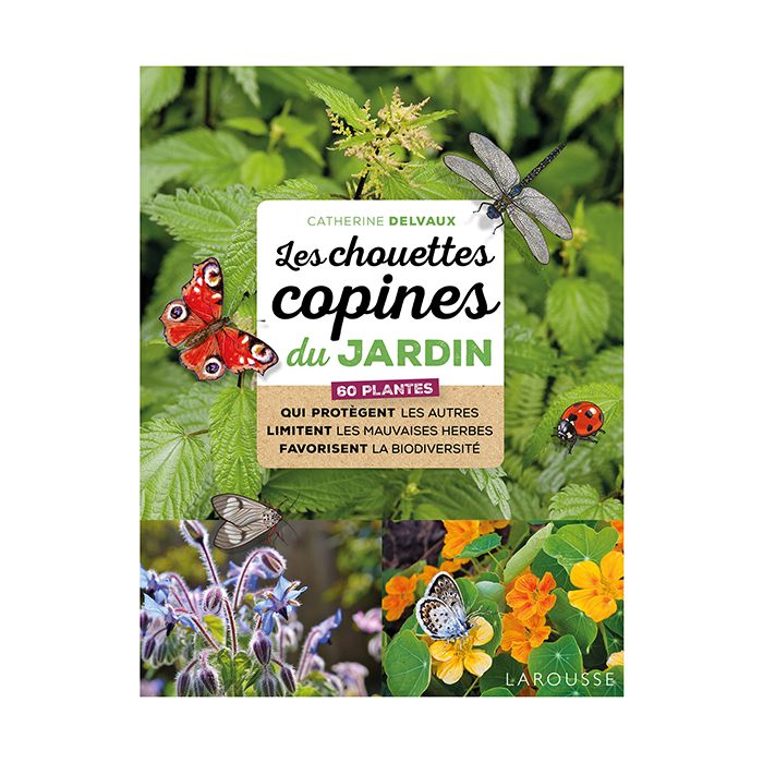 LES CHOUETTES COPINES DU JARDIN