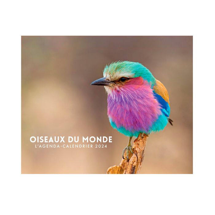 AGENDA CALENDRIER OISEAUX DU MONDE 2024